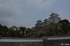 DS7_5911