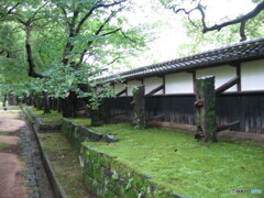 137-3729_IMG