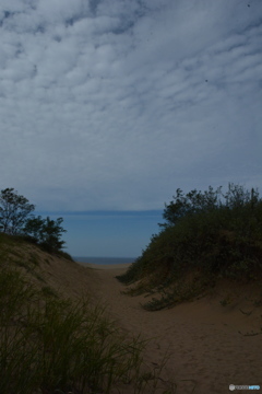 DS7_3797