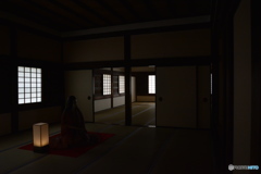 DS7_5937