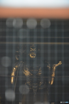 DS7_6924