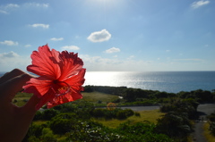 宮古島 西平安名崎