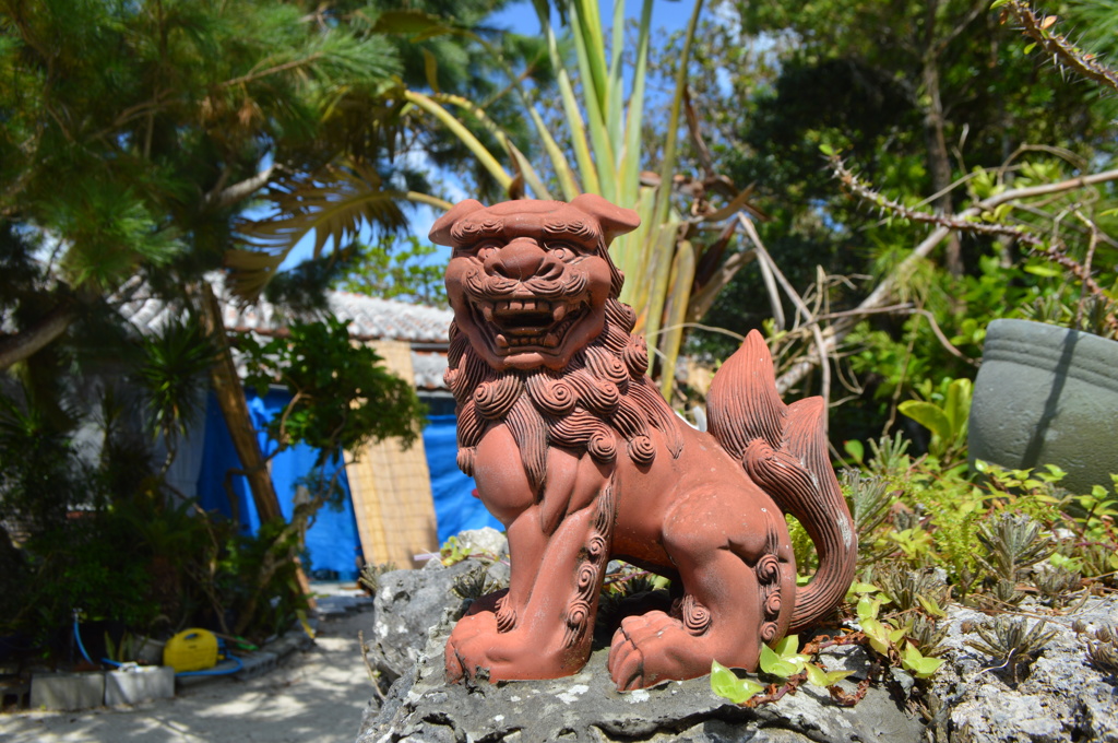 沖縄 竹富島