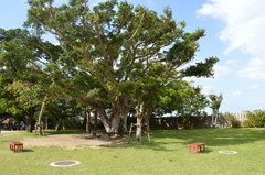 沖縄本島 首里城庭