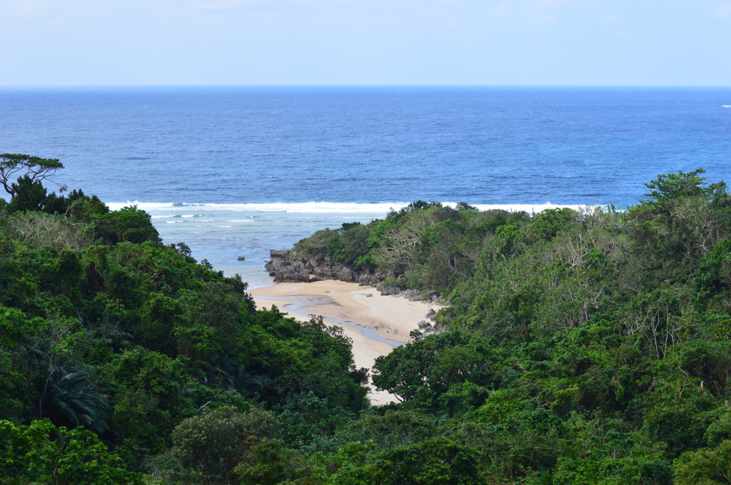沖縄 石垣島