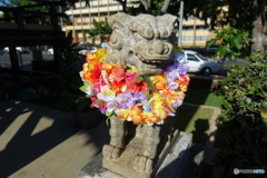 Hawaii