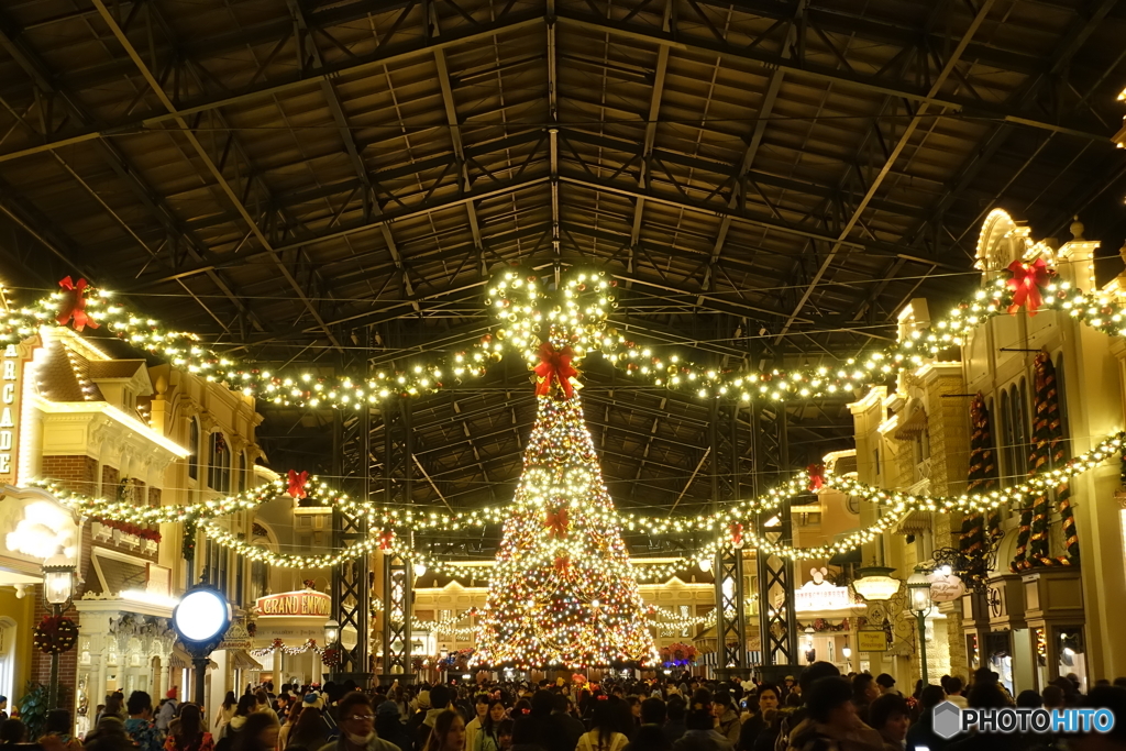 クリスマスツリー