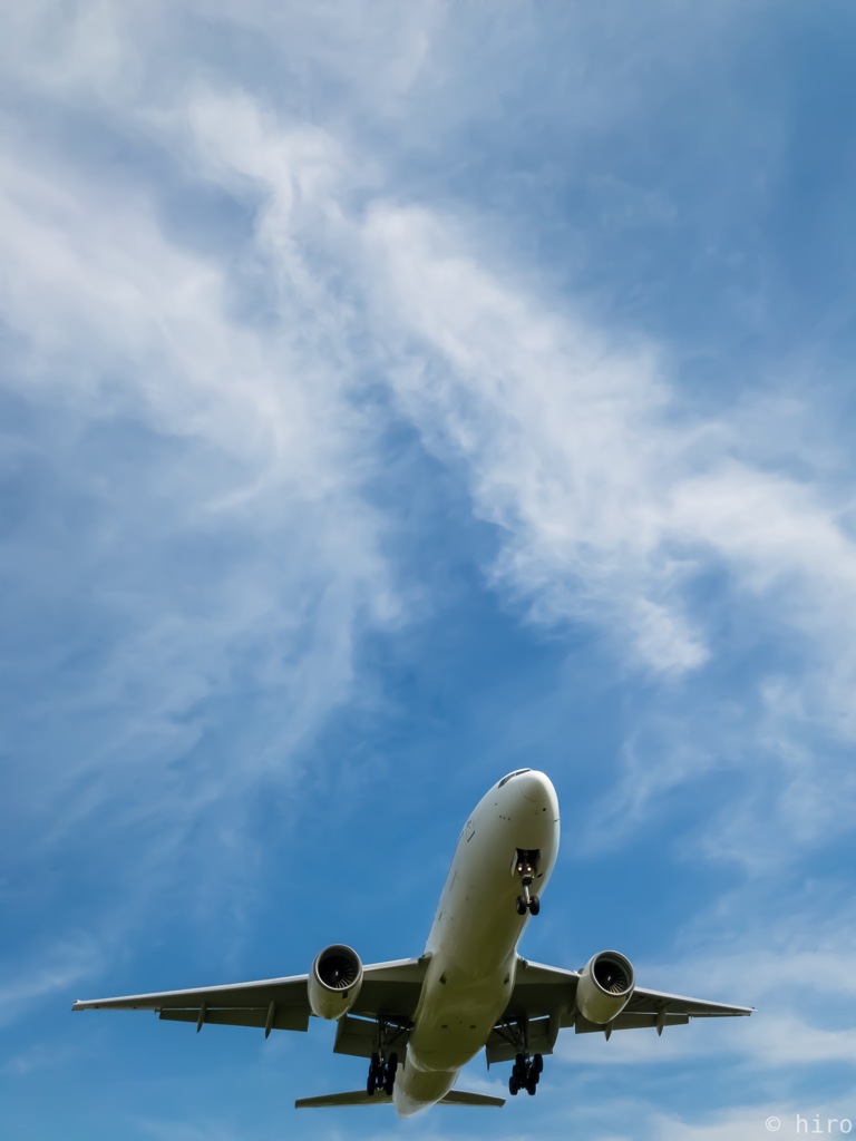 飛行機✈️