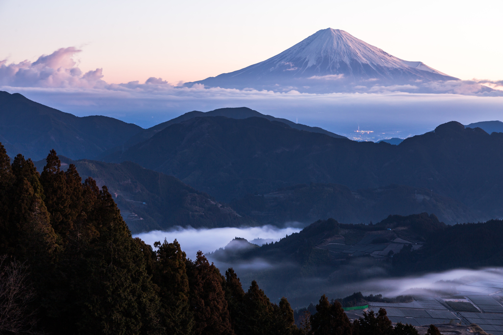 陽春の朝