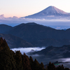 陽春の朝
