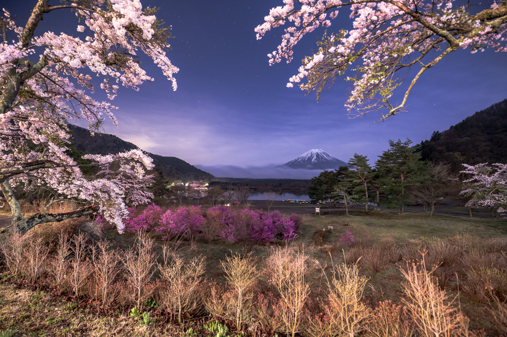 真夜中の宴