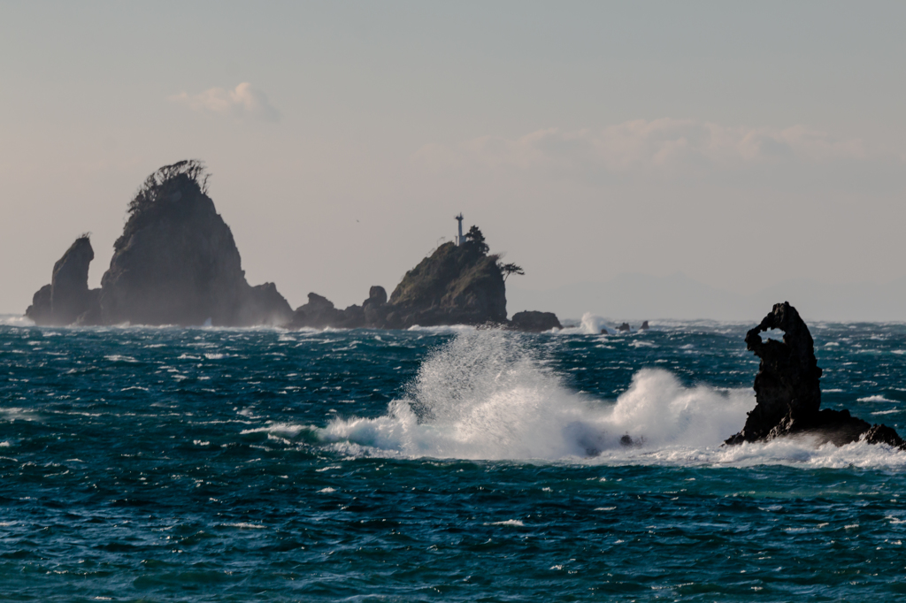 ゴジラ暴れる！