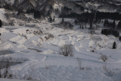 雪に埋もれて・・・(^^ゞ