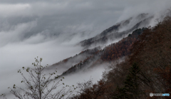 霧の遡上
