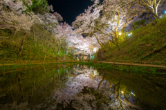 待ち侘びた春（水鏡に酔狂１）