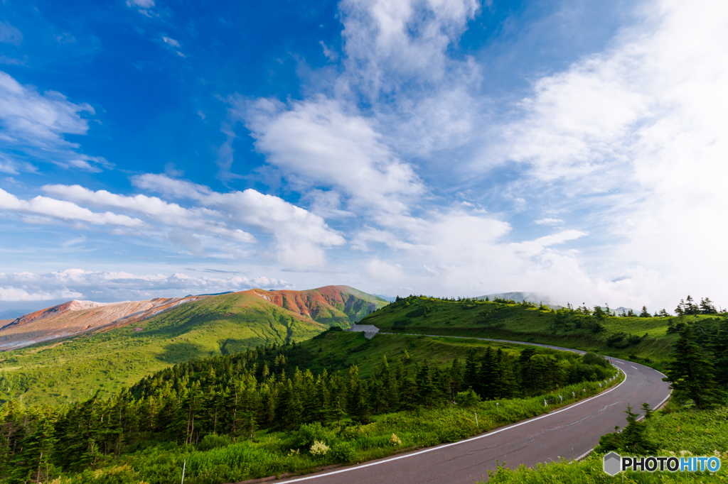 The Winding Road