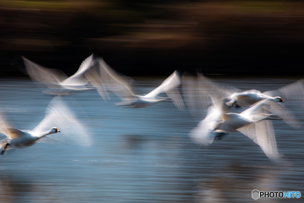 Speed