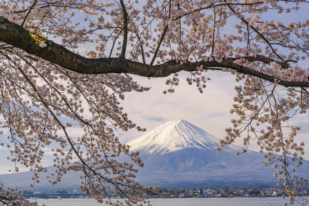 日本の心