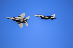 F－１５