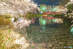 お別れなのでしょうか？
