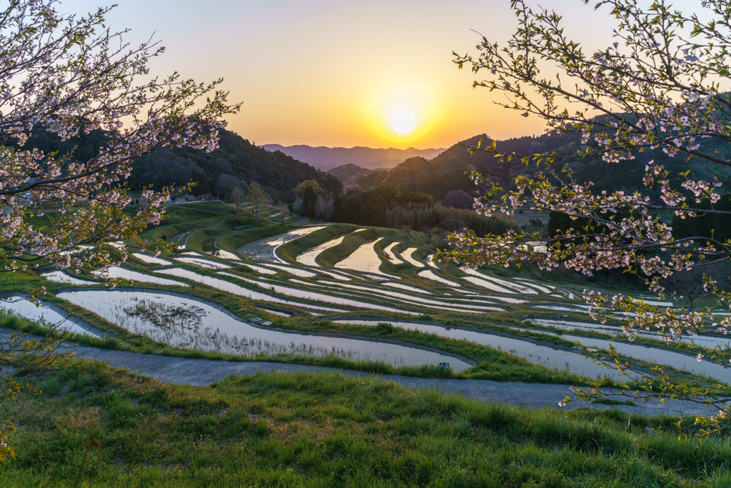 棚田の朝