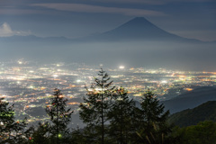 AMARI Night
