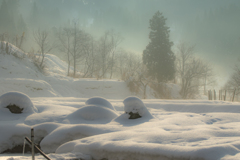 通りすがりの雪の景