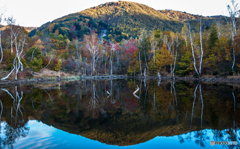 乗鞍紅葉 2.まいめの池 乗鞍紅葉 2.まいめの池