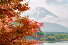 初夏の奇跡#2