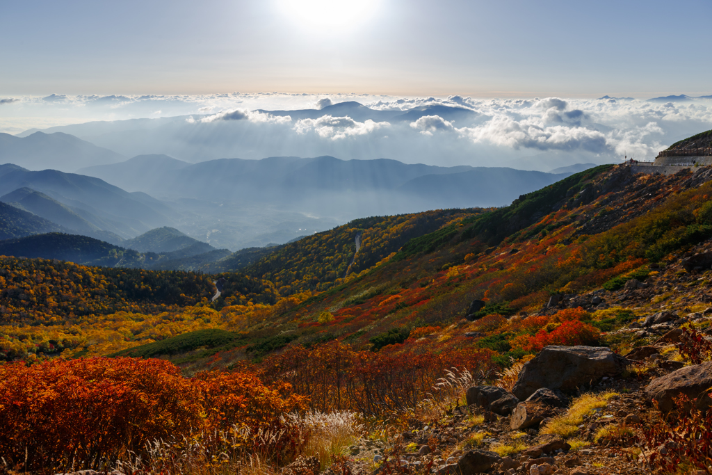 錦秋・・・朝日浴び