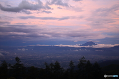 ほろ酔い ほろ酔い