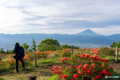 山頂より