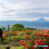 山頂より
