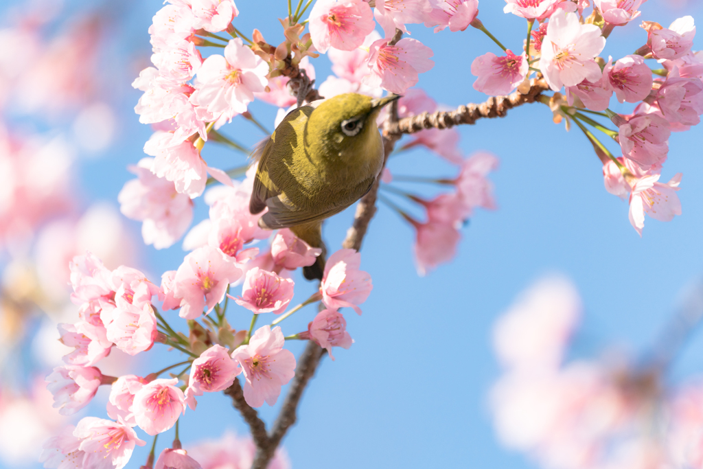 これは・・・