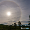 Halo
