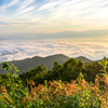 Heavenly light