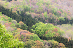 春の秋山郷