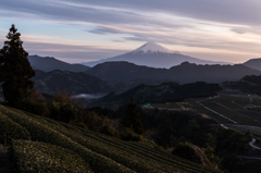 早春の景