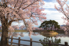 今年の春はどこ行こうか♪