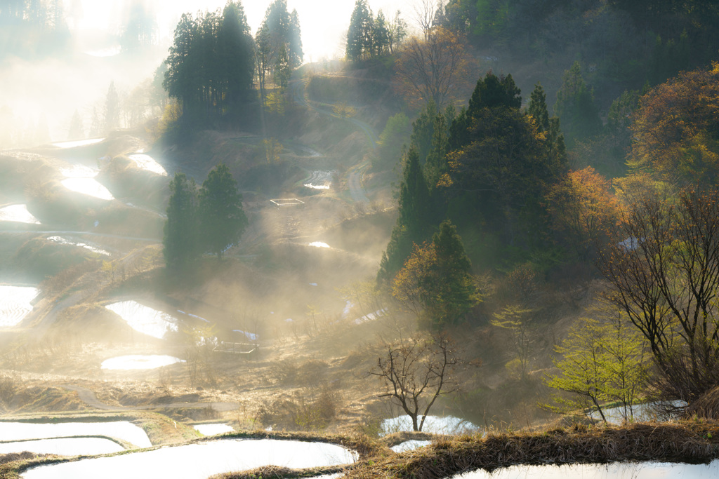 覚醒