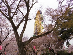 華蔵寺公園