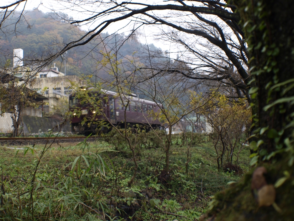 渡良瀬渓谷鉄道