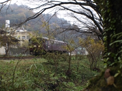 渡良瀬渓谷鉄道