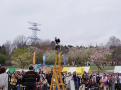赤城南面千本桜まつり