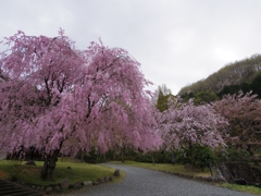 小平の里