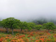 雲の中