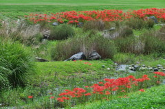 20150919 1210 Banpaku f=78.7 F9.0 DSCF00