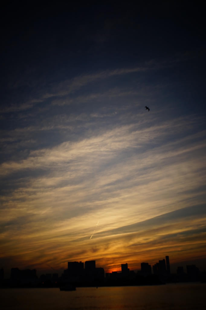 DSC02360