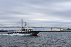 3G9A8484_hp