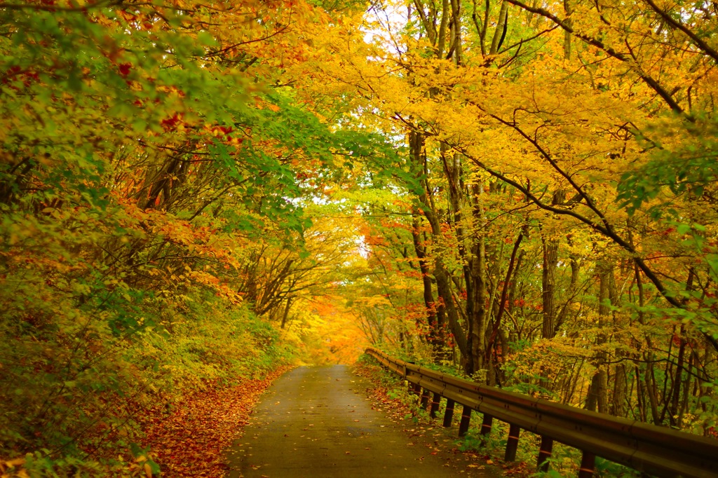 山の細道